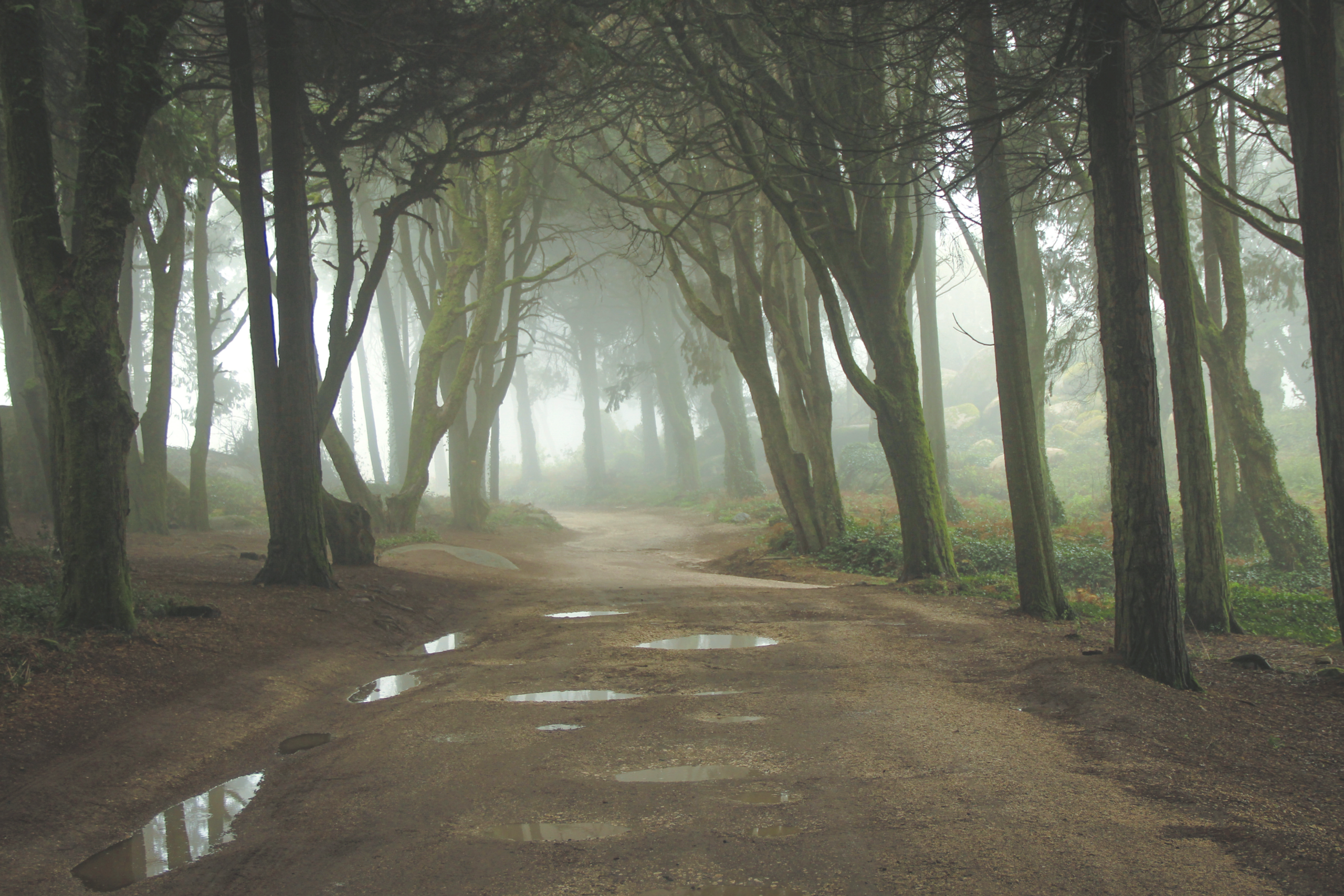 On Reverance and the Nature of the Akashic Records